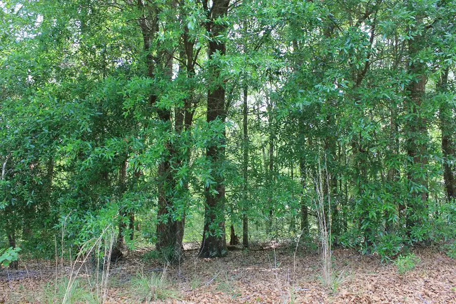 104 Oak Bluff Drive, Enterprise, AL 36330 - Image #3