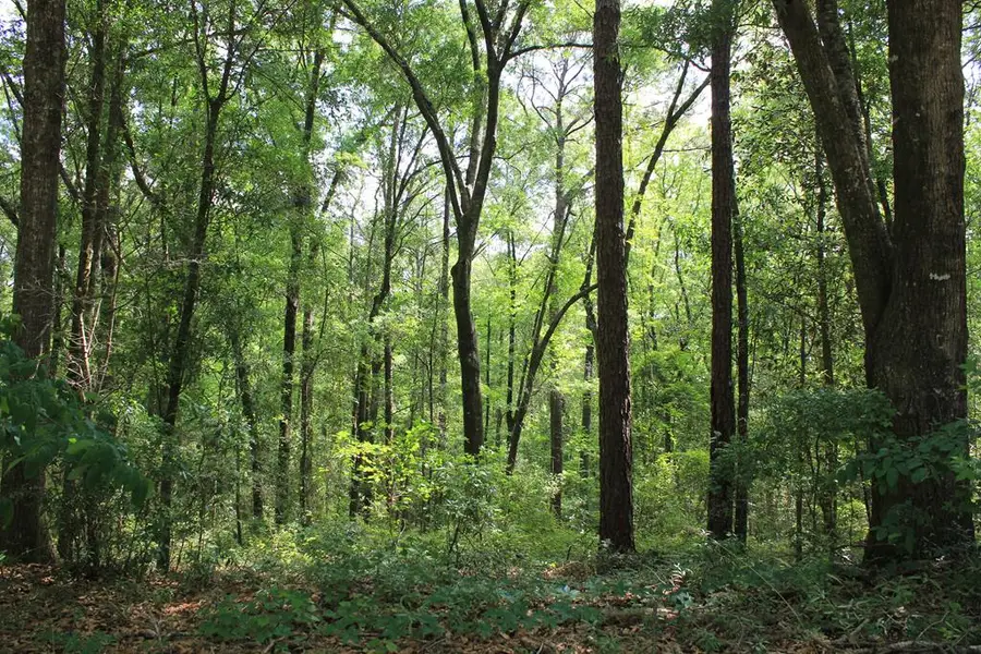 102 Oak Bluff Drive, Enterprise, AL 36330 - Image #2