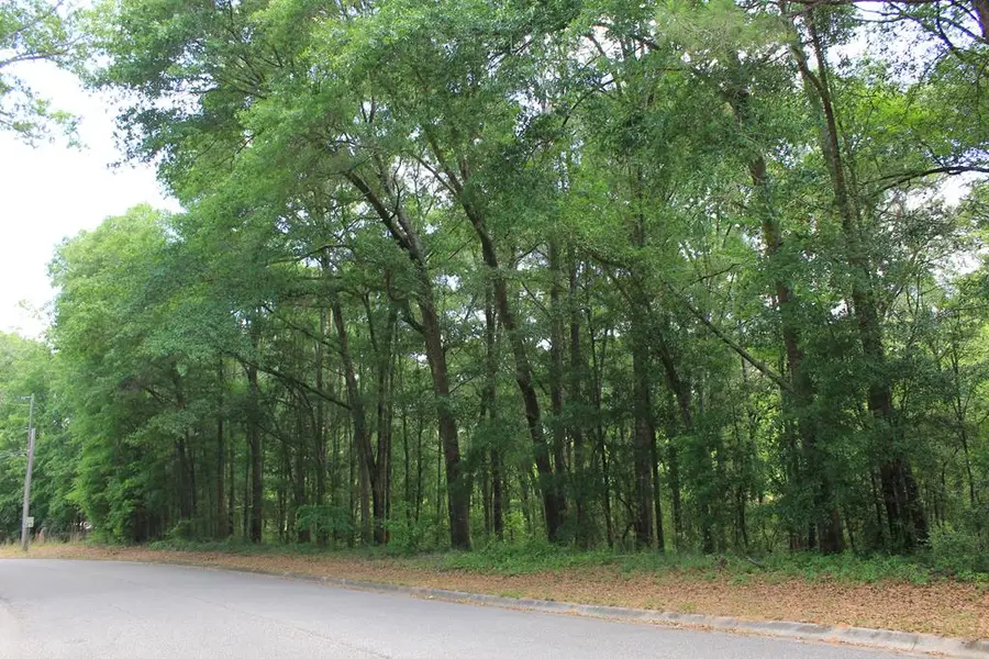 102 Oak Bluff Drive, Enterprise, AL 36330 - Image #3