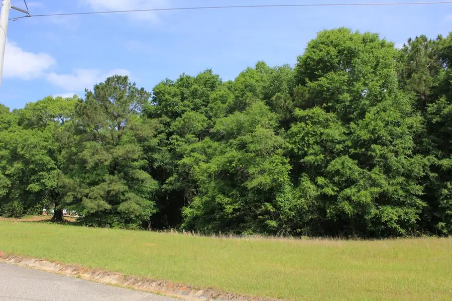 100 Oak Bluff Drive, Enterprise, AL 36330 - Image #2