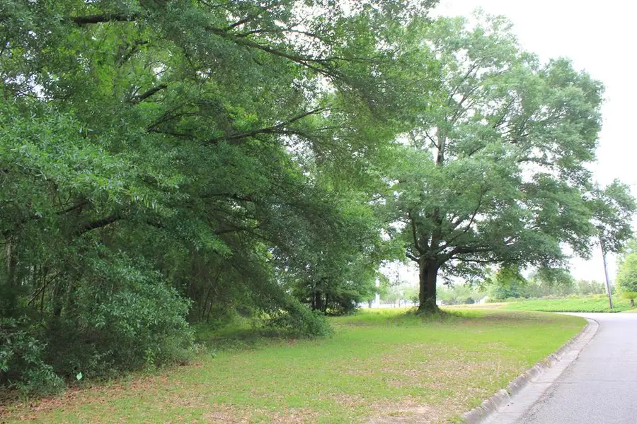 100 Oak Bluff Drive, Enterprise, AL 36330 - Image #3