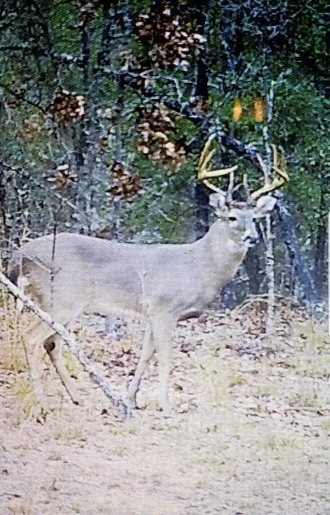 #2