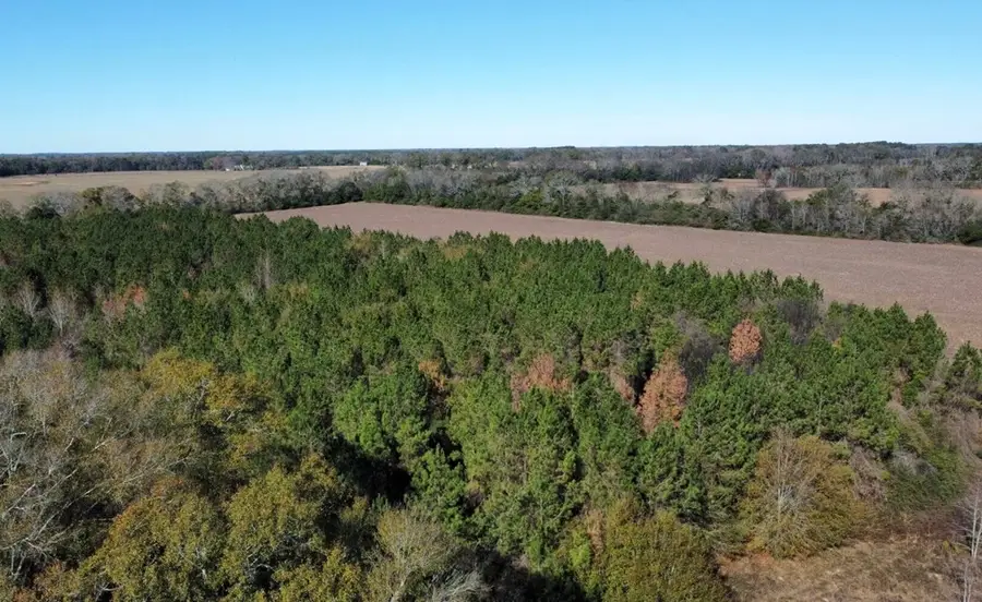 0 County Road 33, Headland, AL 36345 - Image #2
