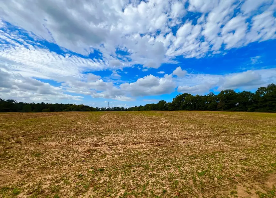 0 County Road 33, Headland, AL 36345 - Image #3