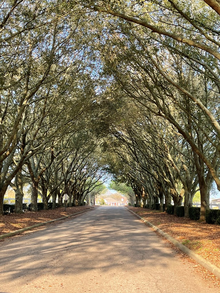 117 Mulberry Lane, Headland, AL 36345 - #3