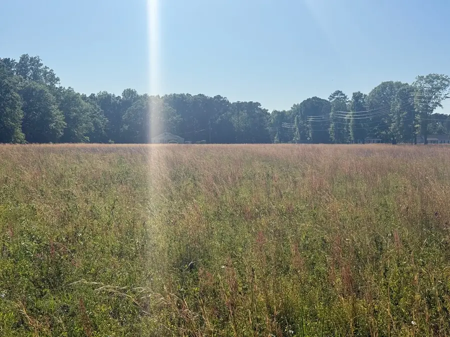 4.37 +/- Ac N Hwy 431 & Rocky Mt Church Rd, Eufaula, AL 36027 - #2