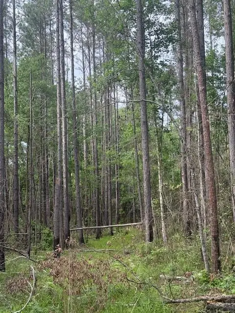 0 Lower Lumpkin Rd, Georgetown, GA 39854