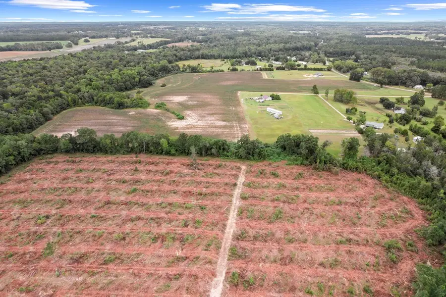 0 St. Mary Road, Cottonwood, AL 36320 - Image #3