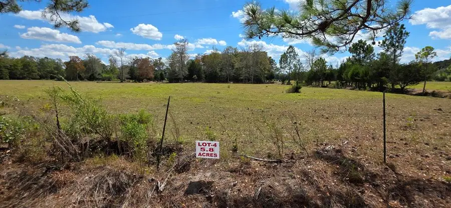 5.8 Acres Nobles Rd Lot 4, Cottonwood, AL 36320 - Image #3