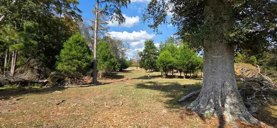5.8 Acres Nobles Rd Lot 5, Cottonwood, AL 36320 - Image #3