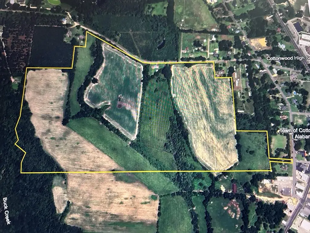 101.12+-ac Houston St/ Metcalf St, Cottonwood, AL 36320 - Image #1