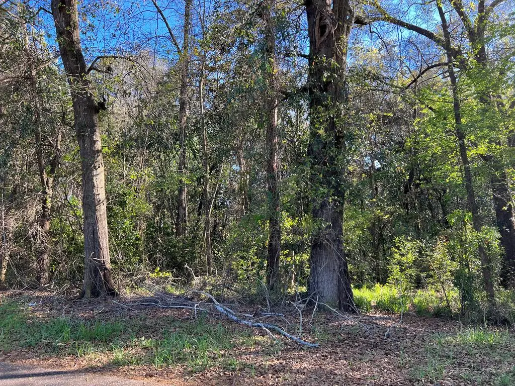 Lot 44 Blk A .47 Acres Riverside Drive, Dothan, AL 36303 - Image #1