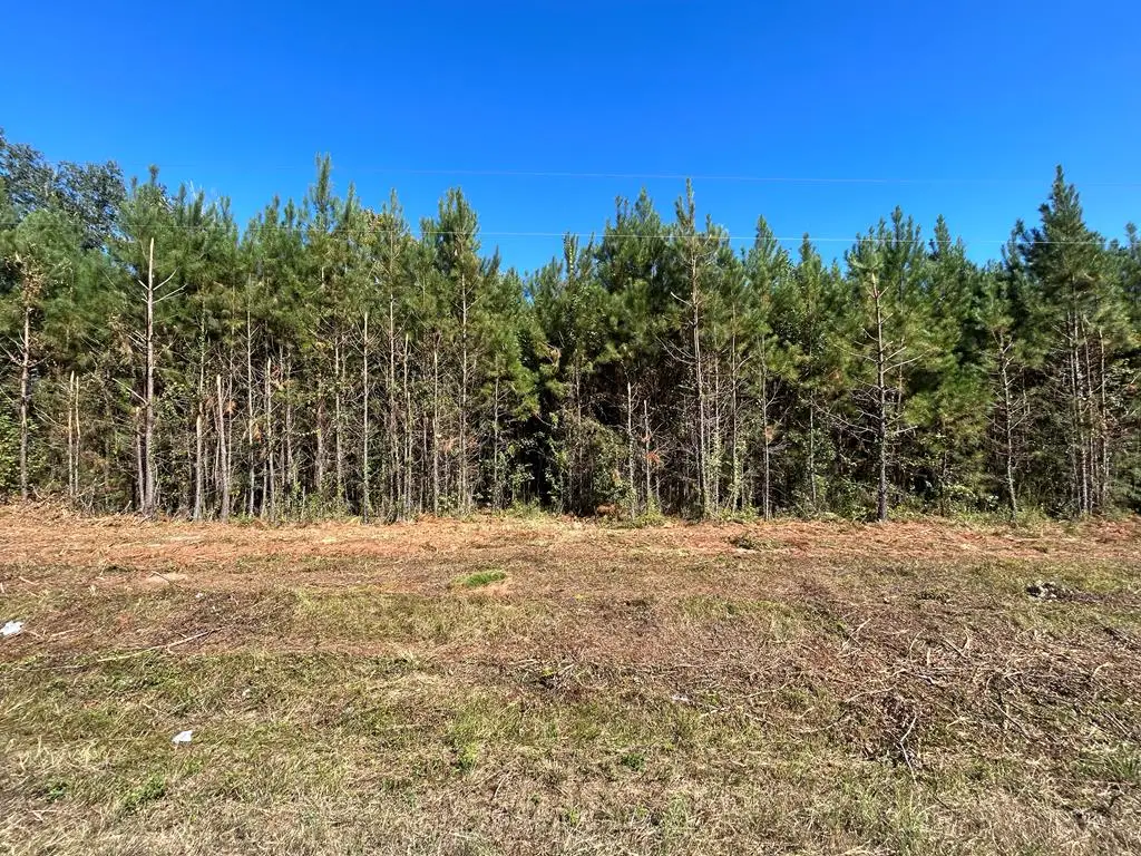 Lot 9, 7.6+-ac Willie Varnum Rd, Cottonwood, AL 36320 - #1