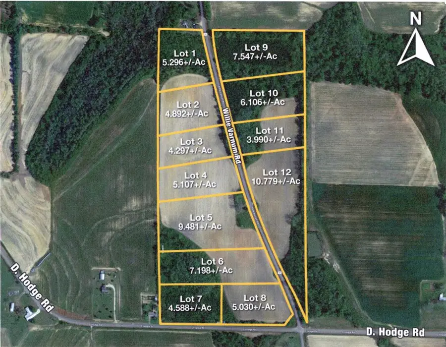 Lot 10, 6.1+-ac Willie Varnum Rd, Cottonwood, AL 36320 - #3