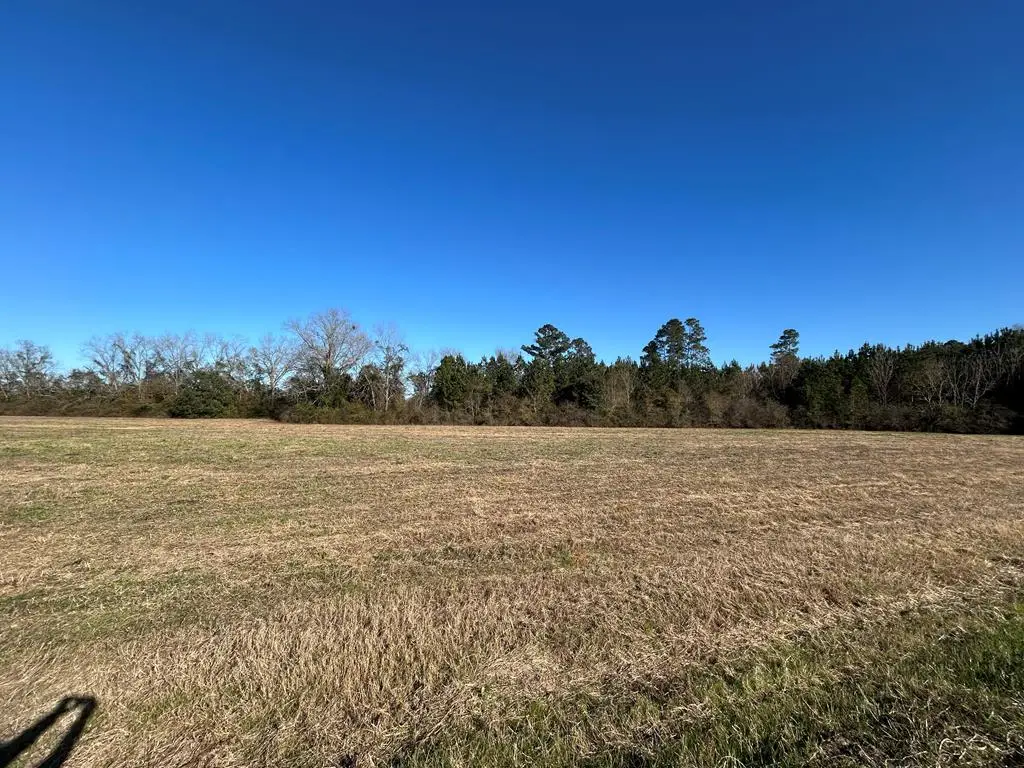 Lot12,10.8+-ac Willie Varnum Rd/d Hodge Rd, Cottonwood, AL 36320 - #1