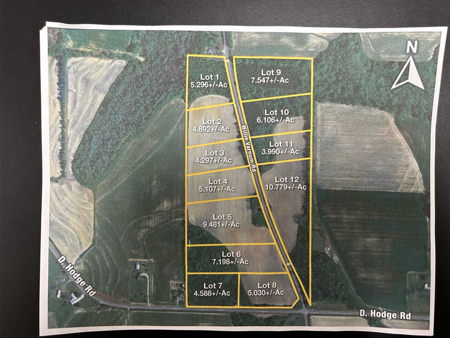 Lot12,10.8+-ac Willie Varnum Rd/d Hodge Rd, Cottonwood, AL 36320 - #2