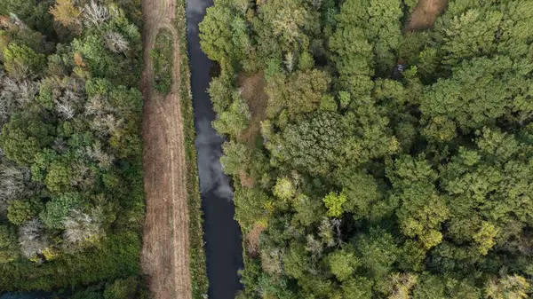 0 Co Rd 53, Abbeville, AL 36319