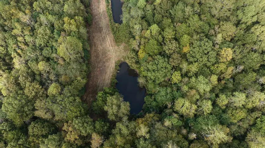 0 Co Rd 53, Hanover, AL 36319 - Image #2