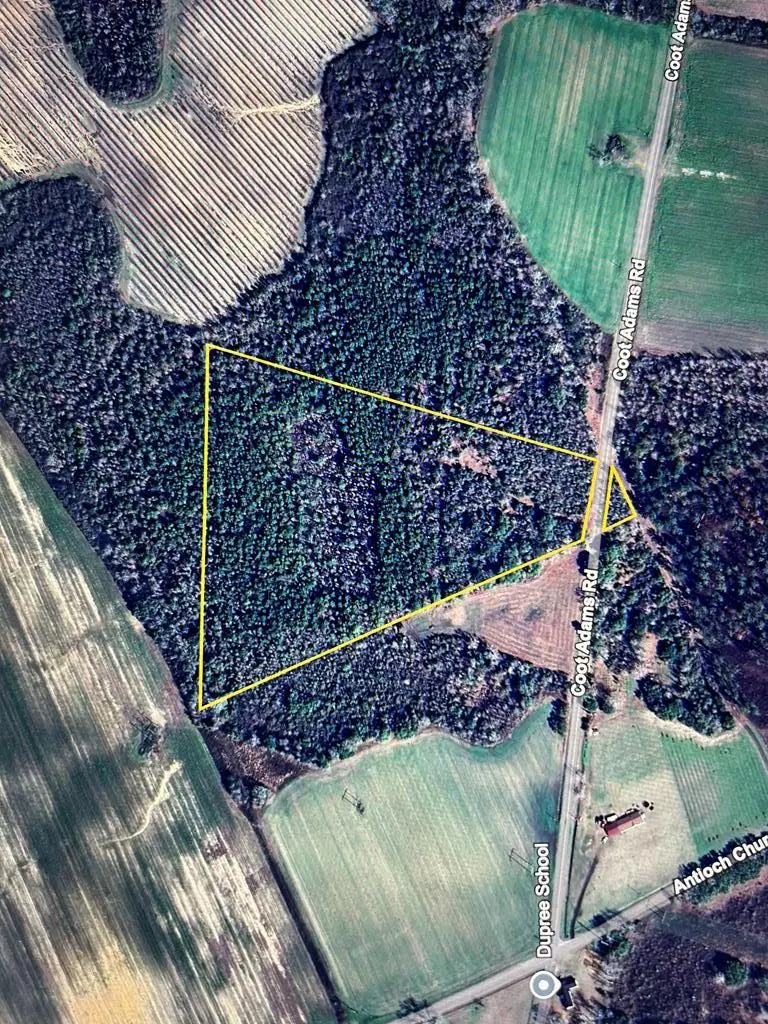 20+-ac Coot Adams Rd, Ashford, AL 36312 - Image #2