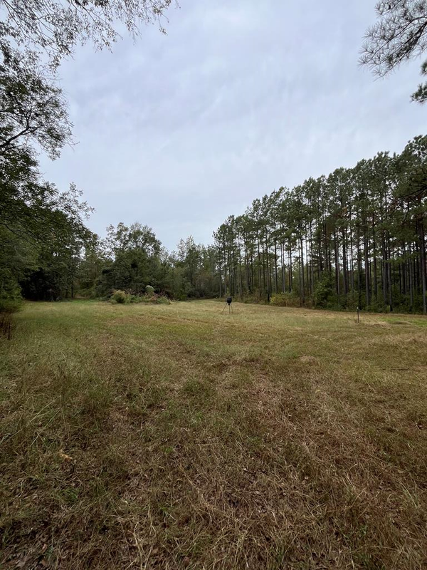 0 County Road 79 S, Baker Hill, AL 36027