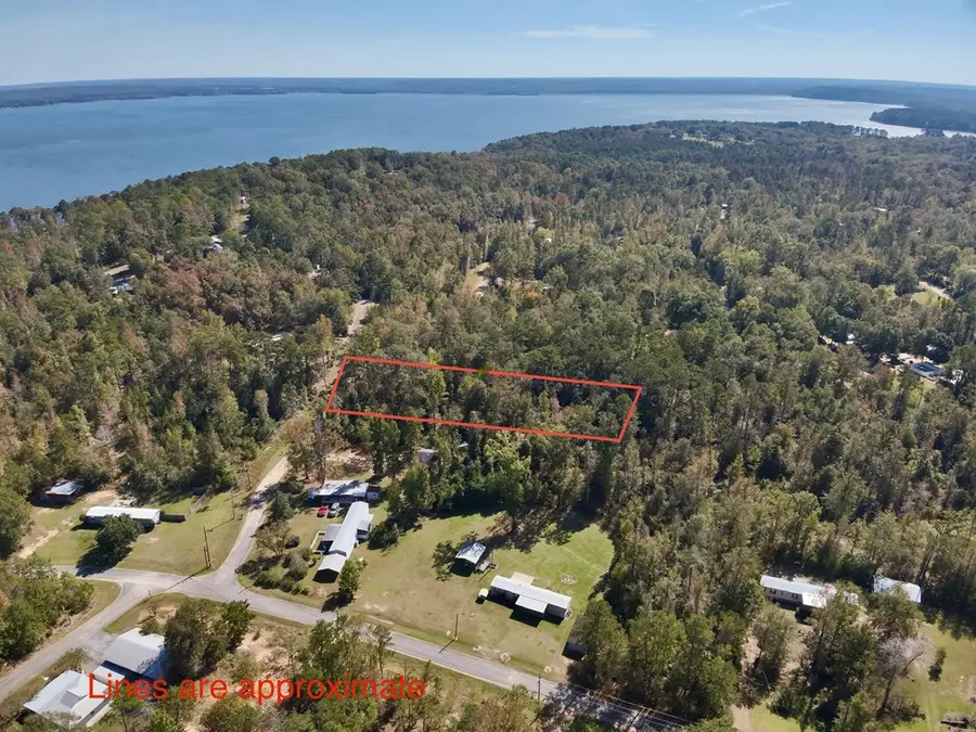 Lot 468 S Lakeview Drive, Shorterville, AL 36363 - Image #3