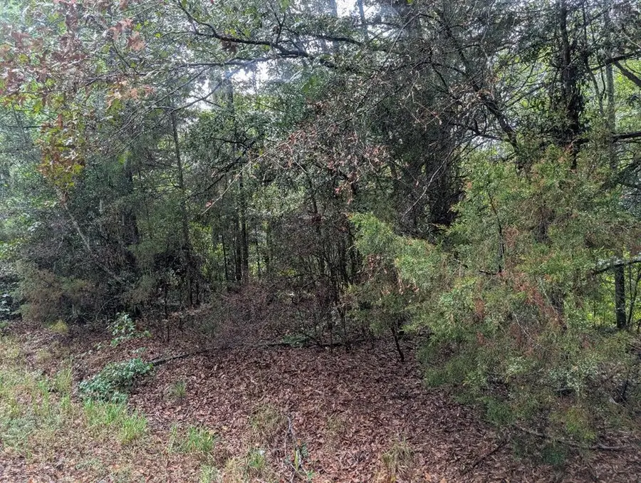 0 Hwy 43, Clayton, AL 36016 - Image #2