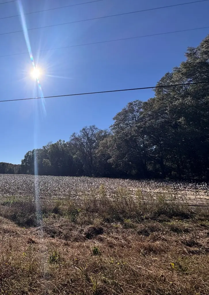 0 S State Hwy 605, Slocomb, AL 36375 - Image #2