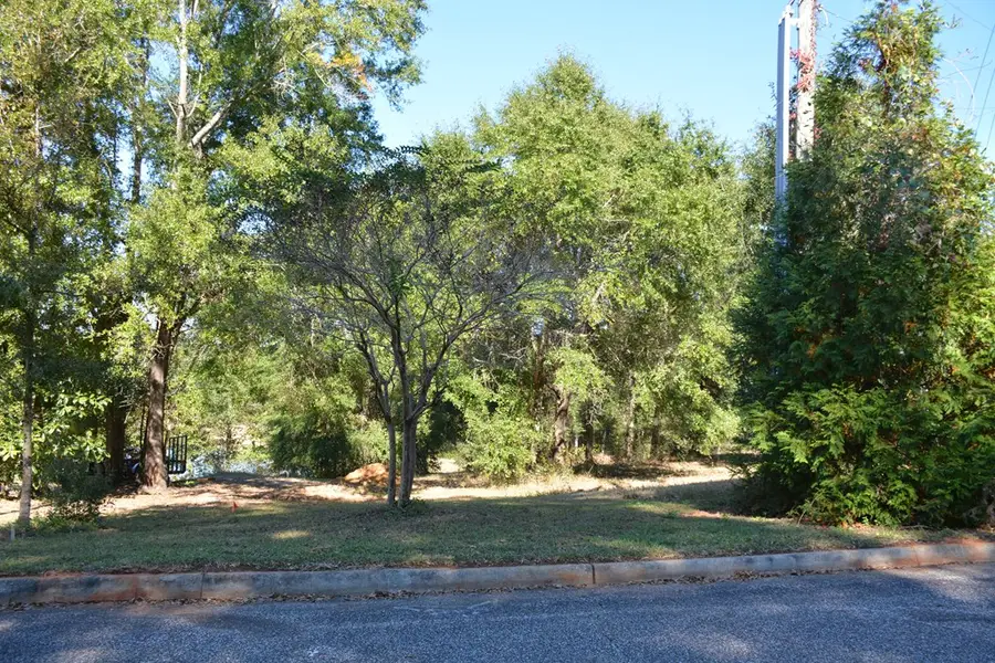 TBD Meriwether Road, Enterprise, AL 36330 - Image #3
