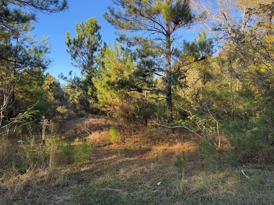 0 East Wilson Street, Dothan, AL 36303 - Image #3