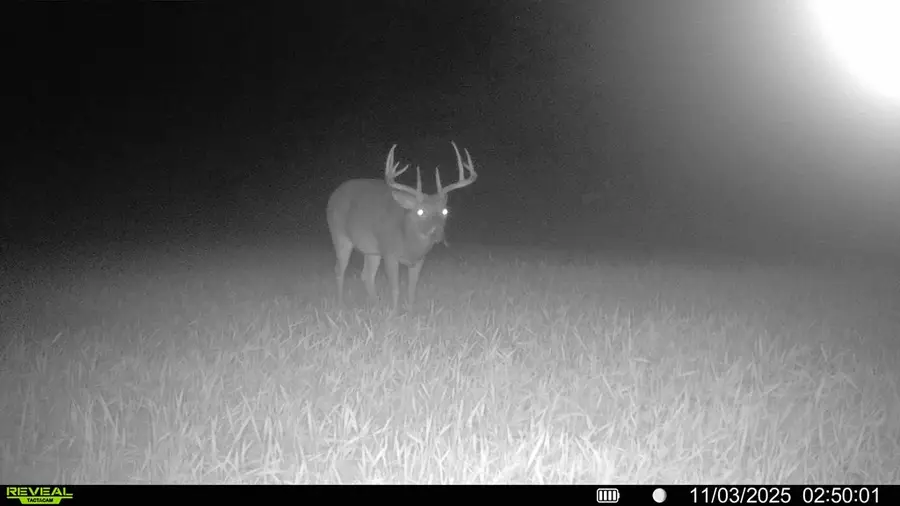 229 +-ac Cty Rd 62/ Cty Rd 160 (morgan Rd), Coleman, GA 39836 - Image #2