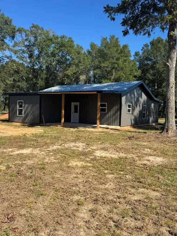 TBD E Skyline, Geneva, AL 36340