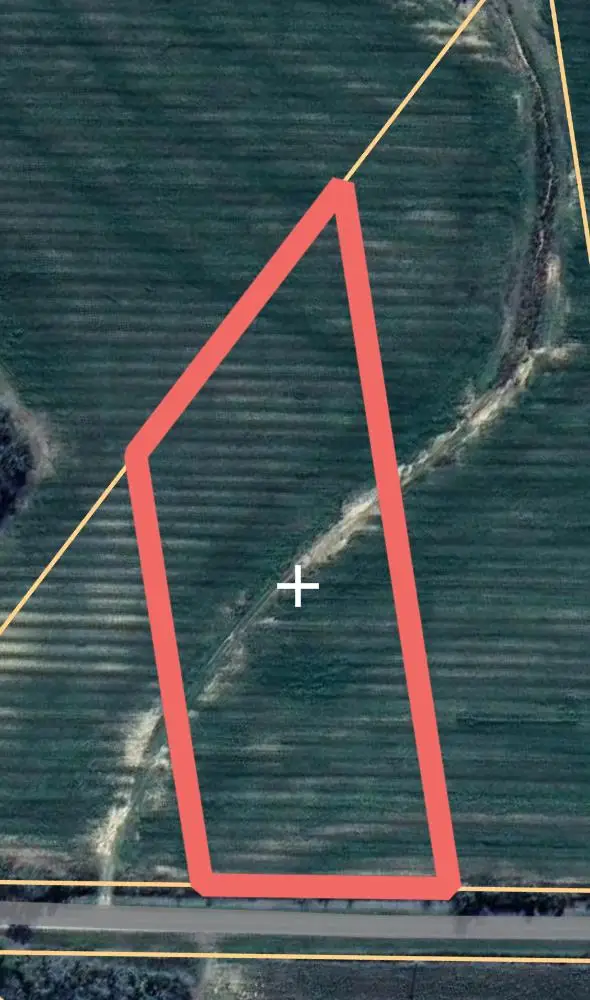 Lot 2 Co Rd 92, Slocomb, AL 36375 - Image #1