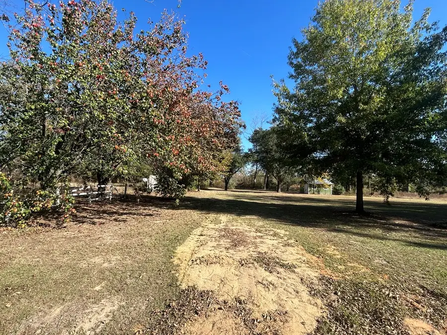 816 N Broad St, Cowarts, AL 36321 - Image #3