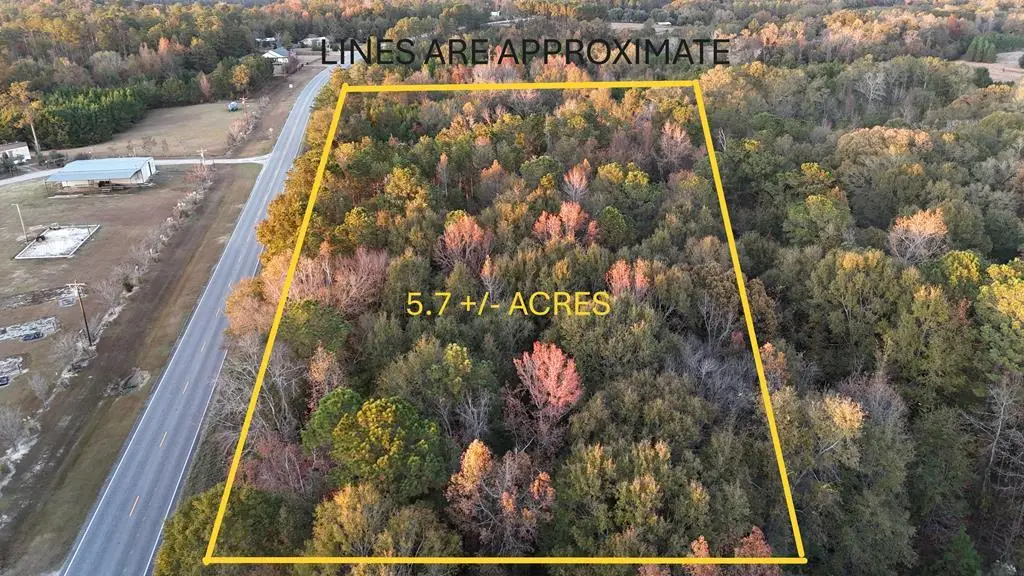 0 Highway 95, Abbeville, AL 36310 - Image #1