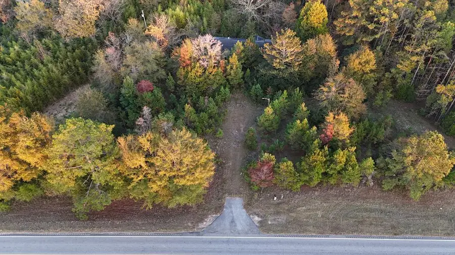 0 Highway 95, Abbeville, AL 36310 - Image #2