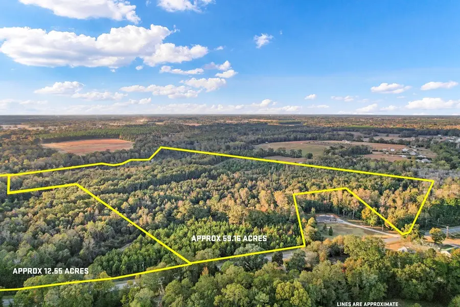 73.76 acres County Rd 203, Dothan, AL 36301 - Image #2