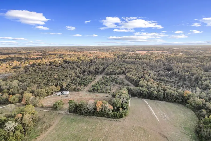 73.76 acres County Rd 203, Dothan, AL 36301 - Image #3