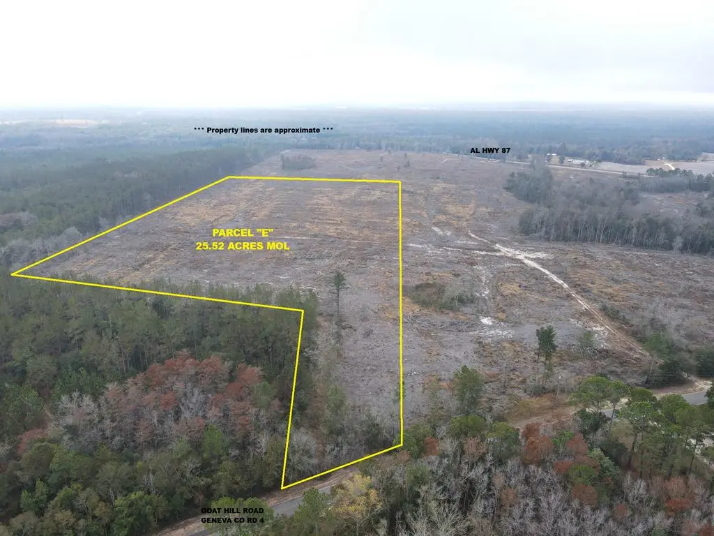 25 acres Goat Hill Rd., Samson, AL 36477 - Image #1