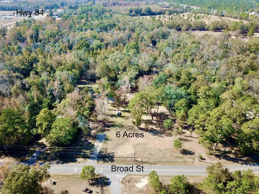 6 Acres North Broad St, Cowarts, AL 36321 - Image #2