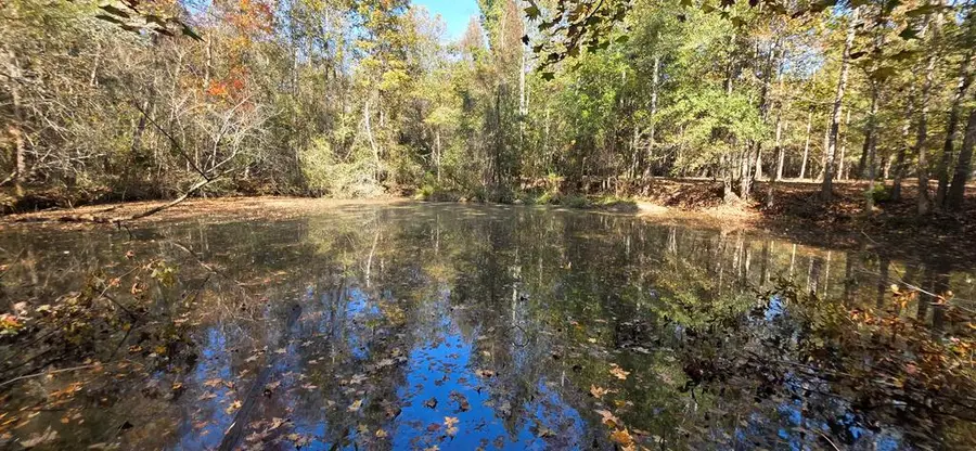 6 Acres North Broad St, Cowarts, AL 36321 - Image #3