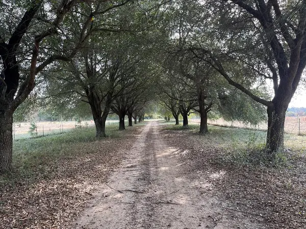 13962 Alabama Highway 95 North, Abbeville, AL 36310