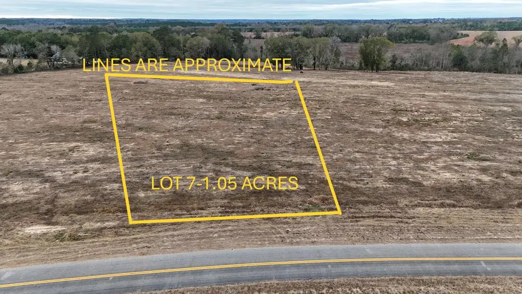 Lot 7 County Road 17, Headland, AL 36345 - Image #1