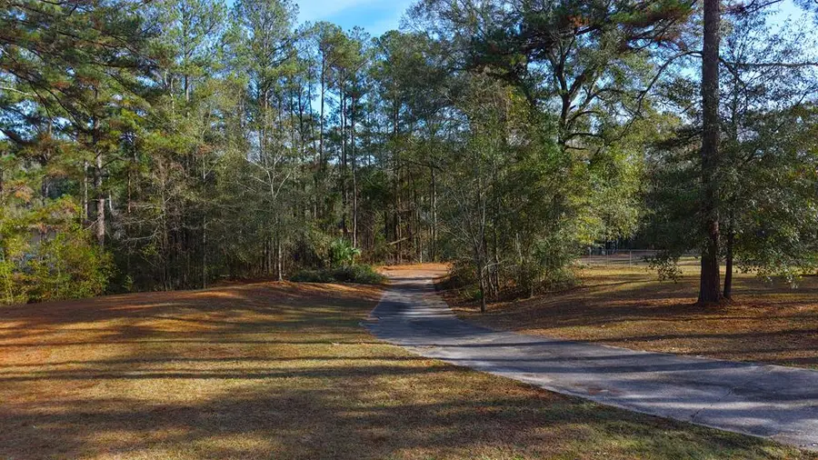 403 Lakeland Hills Drive, Ozark, AL 36360 - Image #3