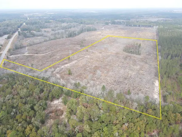 25.29 Acres Hwy 87, Samson, AL 36477