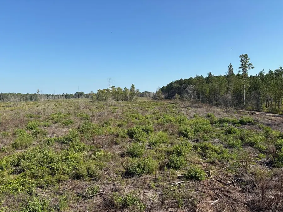 25.29 Acres Hwy 87, Samson, AL 36477 - Image #2