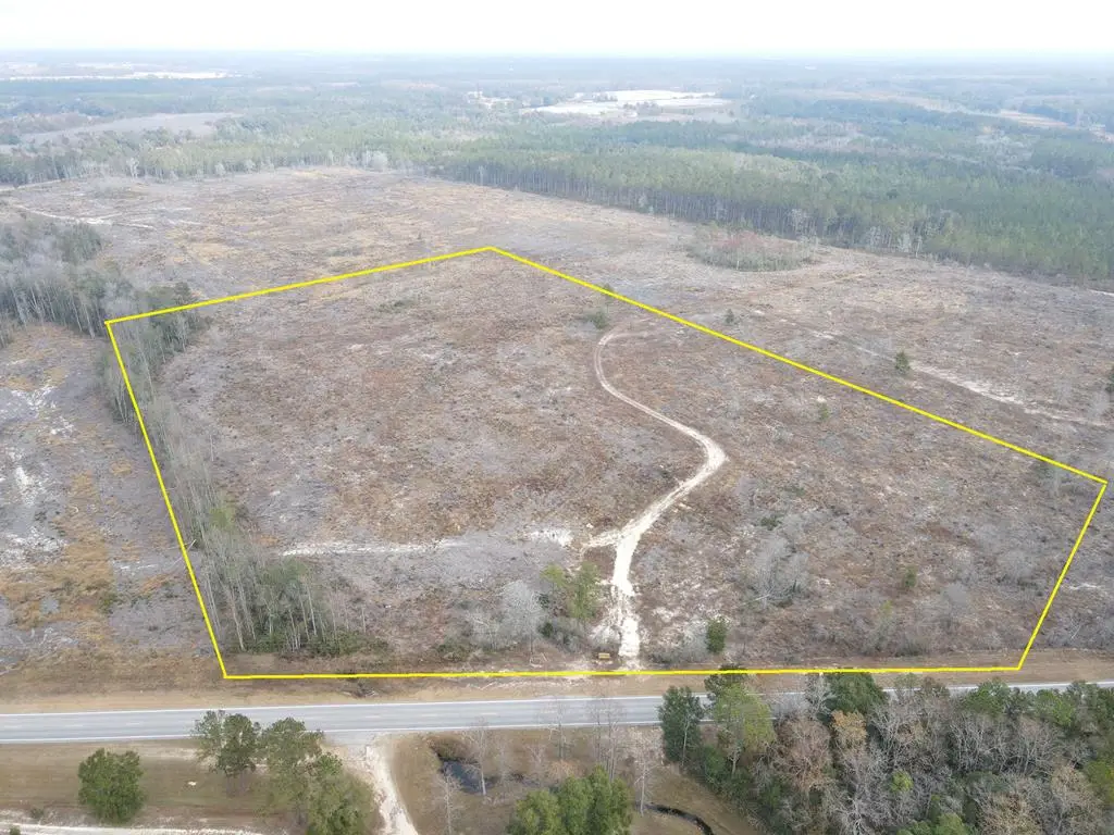 17.65 Acres Hwy 87, Samson, AL 36477 - Image #1