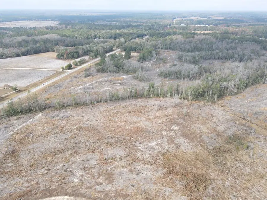 17.65 Acres Hwy 87, Samson, AL 36477 - Image #2
