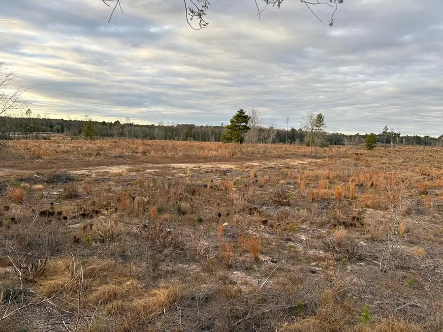 17.65 Acres Hwy 87, Samson, AL 36477 - Image #3