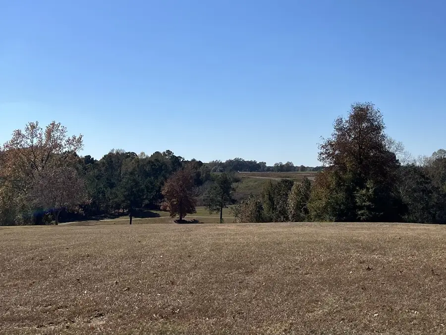 119 Weeping Willow Trail, Headland, AL 36345 - Image #3