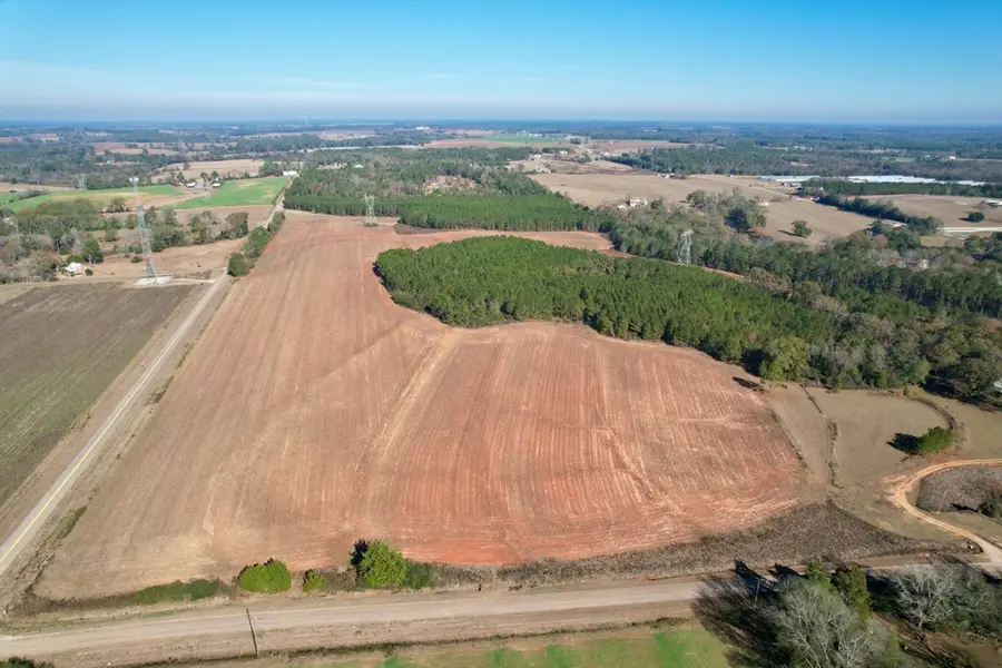 Lot 8 County Rd 6, Headland, AL 36345 - Image #2